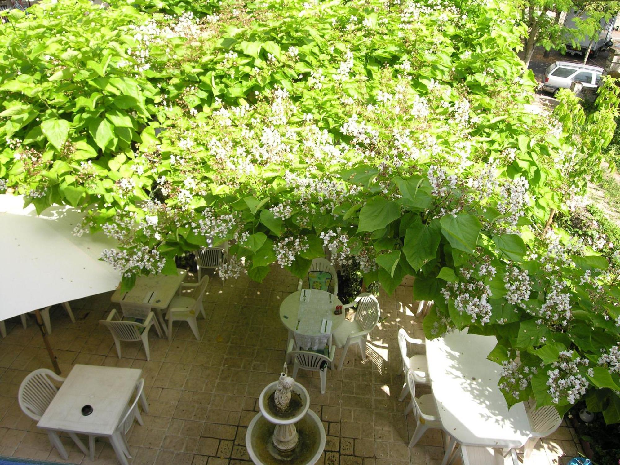 Appart'Hotel Les Tilleuls Saint-Macaire エクステリア 写真