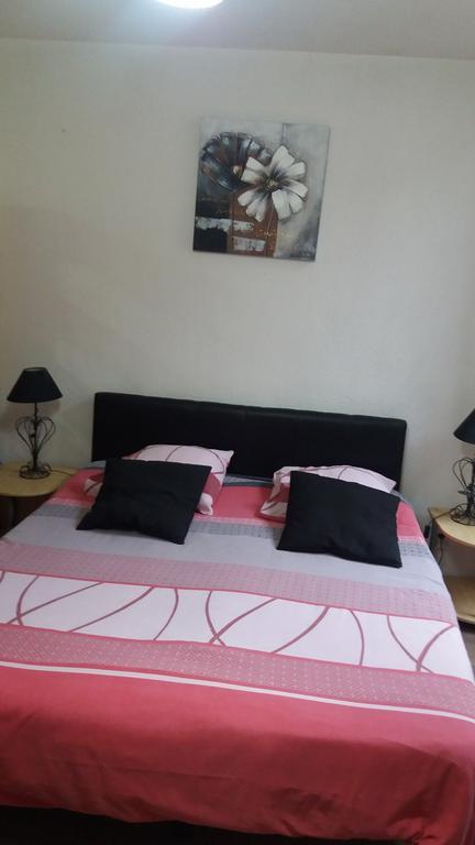 Appart'Hotel Les Tilleuls Saint-Macaire 部屋 写真