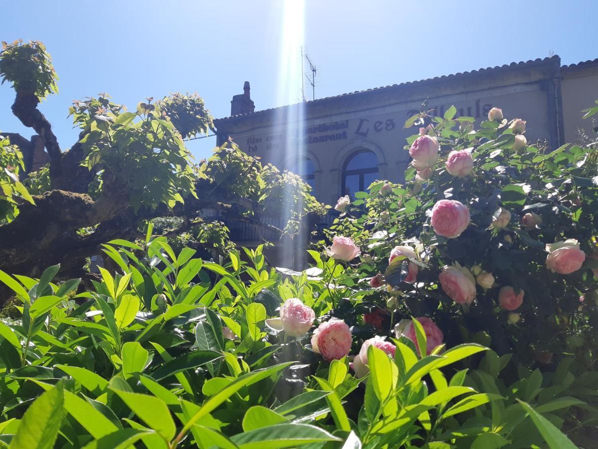 Appart'Hotel Les Tilleuls Saint-Macaire エクステリア 写真